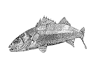 2018-12-04/bae7ac9963509e9d57bacd9310282c2a_d8322158224e2ef6886262d21a095367