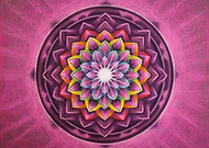 2018-12-04/ca10beb0e46b823ffd2522a77ce9929f_79d7f3d47609313486afb2f5611b3148