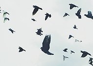 2018-12-05/052b0d277fc09a19440e5f48807fb000_91666da72a4f3f55f4b2178ca0ea0f5d