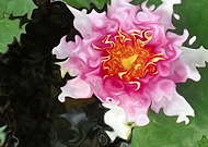 2018-12-05/650f6d18bd952a7b8ee9fcfd5e8efbe5_3c16447600053ce666eeec8fc32c5729