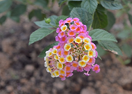 2018-12-05/c9df6548f13ffcf3a8e9da387c626add_9cbec0927044b95e18568dd6ccf6a206