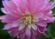 2018-12-06/2f19c611a91aeed417be2497365e5e3f_b215fbdb39a53d743ec5d7aa0f2b4fd8