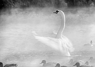 2018-12-06/3e368774581ca77c20eaae5bbf97650f_e58a50ba0b3f39ac42921a1e860ffcec