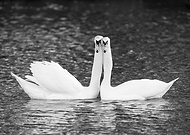 2018-12-06/472dacbc3d445aee7644a21184659b45_68d7fe8065947d52f777d68806e6ef95