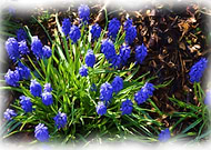 2018-12-06/4f8fbf7c11ac3bd995966549f82ff8bf_3262b683d0501283c6d3db6101d3365c