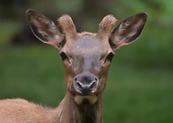 2018-12-06/569b3e149cb2f7ccc6622e29a71a4574_88aebfe49652c1cf59d52bc42437ae0f