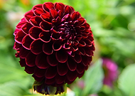 2018-12-06/750653f9e38a96738d821b5296d0021b_94c956f1c90f87269be512a924b41421