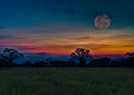 2018-12-06/b48265e39c237b5e8e14e4c9e77f9a7e_d0a24a170ba73761ecf0aba3a8a80ff3