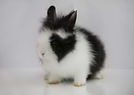 2018-12-07/bcb344f918de343f4a285c03ee41b17c_1a76d08f76c02e740dcdc55223946ee7