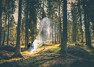 2018-12-08/2d7d14e6da2e91a075b89cac1912a35a_86e1ec1da950d2fdab39793f9c8c54d8