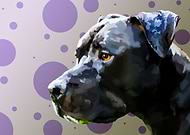 2018-12-08/e1a2d0dd6b164cb2f785aecd9cba2434_c45bb492322049f45013b6cbe52cd863