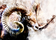 2018-12-09/e44617718cfdf7faf42fe6b1c90be736_fa442d507c8f3aea6d08856f21169d1a