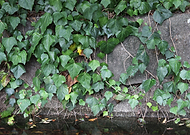 2018-12-10/a2d745b3b1ae8e027dbefbb3d3d38efa_1d4a02cc5a1c0b71e45c1cbb21350c89