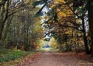 2018-12-10/f3372130a0882fab99856219f3a23965_4b0968cb5ca6fd562387997e2c946d9c