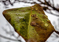 2018-12-11/7247d681e4173912085bb55b1b4f9886_b3a6e0f03f8805be9c92330c72b193ec