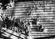 2018-12-11/8ea5c3cf7be6c9ff143d48913a25cc1a_c75b68de27a7b71011b5b993f659d240