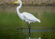 2018-12-12/74429ecdd0ff8fe68d207884f9ac9cf7_2ad1d57c466691f775eaff3f2e8105b1