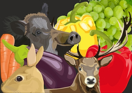 2018-12-12/c793050dcc9e6420a29aec04ed6ede9f_f04de9f328904f255d3daad25b8568a1