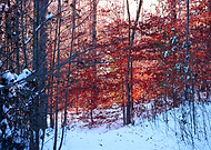 2018-12-13/2e956656abeb2d7ff862d1439a02902d_a0483020d141c3b9d5f44fe23f0205df