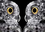 2018-12-13/648e07e4d2a383080a06ab6bde1e6bf6_eb4271b6e8171083b4e4845c53822914