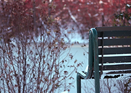 2018-12-13/745cedfed77c14b4f62c9966d8b39e16_33527313fc927063f5ac19b762dd20f0