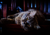 2018-12-14/7127edf552b590d5e14b0c8927c4ddba_99e0d47b59c6e5c66a6af96063e0d78d