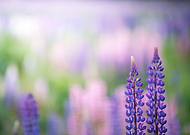 2018-12-15/2f9517203be3ebdebedae84e1ad86d96_696309ee5ad6536e3d3ef4fcb3cefc04