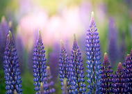 2018-12-15/552b55c554409dd8f5fd7aeb4968b0ea_e720295d7489db3206853e2864f394d8