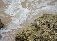 2018-12-16/0484b816278355cf699d3edcac7c3ed9_c53806f371b601ce55b263f200a57078