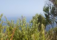 2018-12-16/54f9cef61fb8c285d32500fdf123368f_c58aea6f195f156a5d919868051431dd