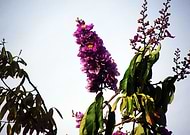 2018-12-16/74e721b5465de72816377370d4fe4aa7_6579ce4d46556848b3f5584860ec60dd