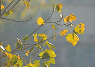 2018-12-17/4a212149218a3ba410aa04522bdea6d6_1f65977dc54f76fcf817cb8def00af3a