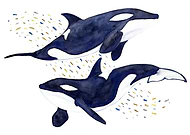 2018-12-17/5dabba46bb9d24ecf26c4069f9914337_4d446b5f44701441e7c494d198d3b58a