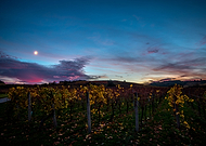 2018-12-17/a8d667e351c89443ae49d107daac5f48_3b9f9f67b6fc41f7f5d1ad9113e9dc13