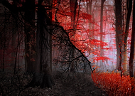 2018-12-17/f93cc8c569f5ae522753a6bda9f16b10_f60793b65a391ec573a76173d4dd15ae