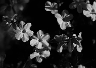 2018-12-19/37b093a06ec347d0758c5b9594aa2d70_0480f42697feee6a53b0e965d5ce77eb