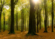 2018-12-19/ee5c1b76d716dd1fe74e024735174958_96a34136327b36e4db17d29623daafeb