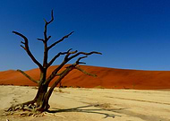 2018-12-20/7d80539c10c6c3e24497ce313172dedf_62e72f21cc74bb2078b6fb13ec4b14ed