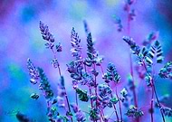 2018-12-21/435e7afb0388df10eddc3fd6bbc9cb3a_9664218e20ae57ef3ca45163387e2928