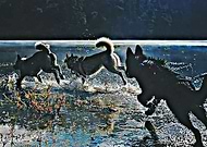 2018-12-21/82712ef423323df83fbed42f69a3bd78_6e95816ecf3a5914520d7f2049e77501