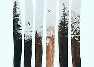 2018-12-21/aa323e9e80c302d59089c7db3fa357a9_58713bc89db1ea9e1f6752ee563dc5fc