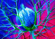 2018-12-21/ff795dd41c2fb355e65482619dbc4d6a_ecd2681b3ae29e39d7d816e783a69abf