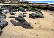 2018-12-23/10e56b3475deae255666c3b53ab4ccfe_70aded79af48a7ecbb32db4e50c423fa