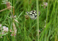 2018-12-23/4b73eff9e357b183308bff5f9cd98908_07fee53140db4879985896d3f50731e5