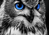 2018-12-23/51cf6db5270948ef49bb78addd75f76d_4bfb10ce591acf57aacb8d36286b29b8