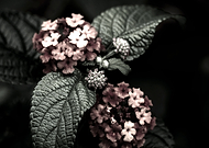 2018-12-23/7803f15ae1a717e363247dbf3a0c2e01_e2d01b4a80fa24957800fd14bae42ef4