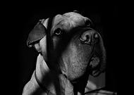 2018-12-23/f8980811c80bd68a832602fb0b1bc05c_8ff93004952a8802a184f8e7b36dbf8f