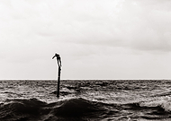 2018-12-25/9991ae867f670ada00b9990959b91bf1_530d892366ecc1698c25fc69cf7e913d