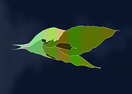 2018-12-26/c2dbabb6bb361cc7a090e33e32e1236b_3a660563333f2832d20a32ea4230be19