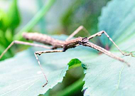 2018-12-27/9f21096d4b5393b98dc587bc6be9a5fb_1295ff83b09629bce357244d176aa200